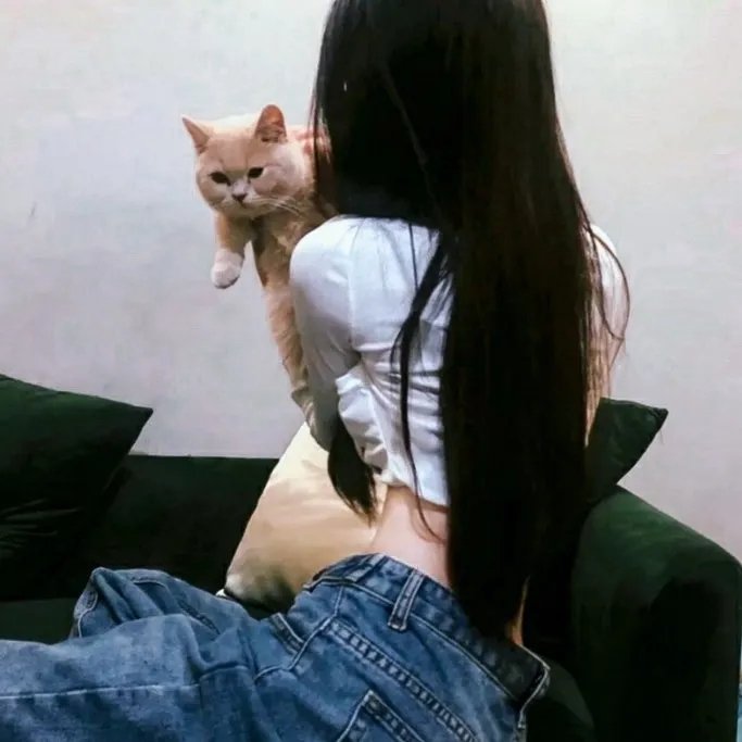 福星高照